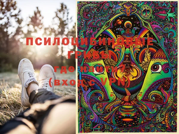стаф Арсеньев