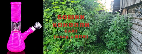 стаф Арсеньев