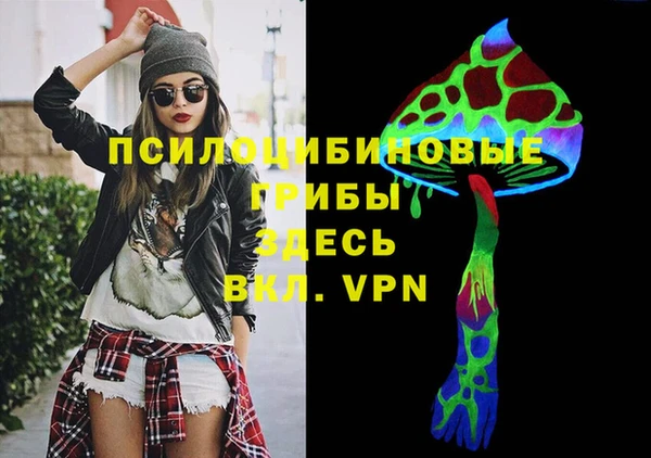 твердый Армянск