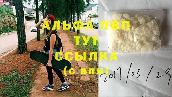 стаф Арсеньев