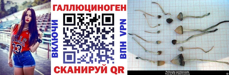 Галлюциногенные грибы мицелий  где продают наркотики  Гремячинск 